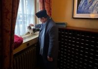 Presiden Prabowo Subianto Bertemu Kucing PM Inggris 'Larry the Cat', Komentar-komentar Netizen Bikin Ngakak