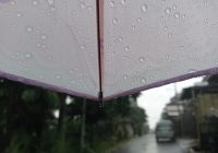 Hujan di Sejumlah Wilayah Kalsel Hari ini Siang Hingga Sore, Malam Cerah Berawan‎‎