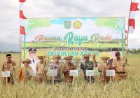 Bupati Zairullah : Panen Raya Desa Manurung Sebagai Bentuk Syukur