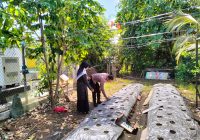 Bhabinkamtibmas Sungai Lulut Dukung  Warga yang Bercocok Tanam