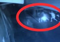 Diduga Gengster Bawa Sajam di Gudang Hirang Lakukan Penyerangan