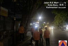 Waspada Pohon Miring di Dua Ruas Jalan di Banjarmasin