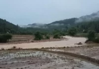 Tiga Kabupaten di Sumbar Dilanda Banjir dan Banjir Bandang