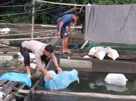 Polsek Aranio Pantau Perawatan Ikan Nila di Jala Apung Kelompok Tani Maju Barokah