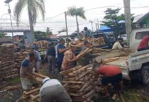 Konvoi Armada Pikap Warga Anjir Menuju Sekumpul Membawa Kayu Bakar untuk Haul Ke-20 Abah Guru