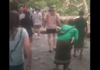 Detik-detik Pohon Besar Tumbang Timpa Wisatawan Asing di Ubud Bali, 2 Tewas