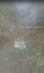 Sandal di tepi sungai kecil diduga milik korban tenggelam di Martapura Timur. (wartabanjar.com - Ist. Rekanan)