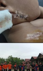 Serangan anjing liar di Kabupaten Balangan membuat resah warga. (wartabanjar.com - Ist. @habarbalangan)