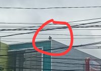 Geger Penampakan Pria di Atap Ruko Jalan A Yani km 7,5 Kertak Hanyar