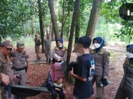 Sepasang Remaja Tidur di Satu Hammock di Hutan Pinus Digiring Sat Pol PP