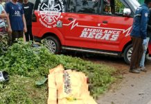 Pengendara Sepeda Motor Tewas di Mandiangin