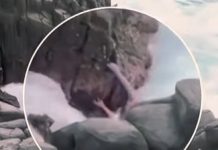 Dramatis, Detik-detik Santriwati Berjuang dari Ganasnya Ombak Hingga Akhirnya Tewas