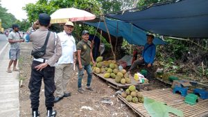 Penertiban pedagang durian di Karang Intan, Kabupaten Banjar, Sabtu 28 Desember 2024. (wartabanjar.com - Ist. MC Banjar)