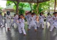 Pengembangan Karakter dalam Seni Beladiri
