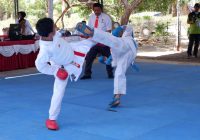 Menang Bertanding Bukanlah Tujuan Seni Beladiri
