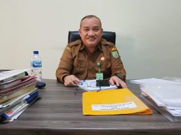 Mulai Hari Ini, Ibu Hamil di Balangan Tak Perlu Risau Soal Perlengkapan Bersalin, Dinkes yang Tanggung