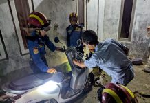 Petugas DPKP Banjar Evakuasi Ular Paikat dari Motor Matik Warga
