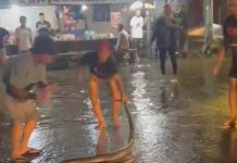 Geger Temuan Ular Saat Banjir Rob di Jalan Kelayan B