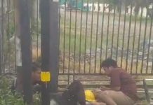 Diduga Tersetrum, Dua Pria Terkapar di Gambut