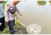 Disuruh Beli Tepung, Seorang Ibu Syok Lihat Anaknya Pulang Sudah Tak Bernyawa, Polisi Sebut Penyebabnya