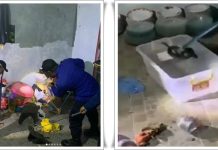 Panik! Ular Kobra 1 Meter Teror Rumah Warga di Cempaka, Damkar Banjarbaru Bergerak Cepat!