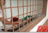 Publik Bangka Geger! Manajer Sawit Sekap Ibu dan Bayi di Kandang Anjing