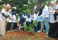 BWS Kementrian PU Tanam Pohon di Kawasan Perkantoran Pemprov Kalsel