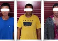 Polisi Tanah Bumbu Bongkar Sindikat Pencurian Sawit, Kerugian Petani Capai Rp1,7 Miliar!