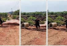 Viral! Tanah Berjalan di Tobadak Mamuju Tengah, Sampai-sampai Excavator Tertelan Bumi