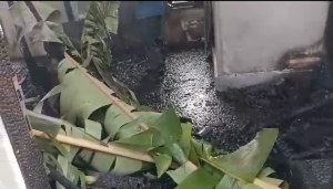 Dua jasad korban yang tewas terpanggang ditutup dengan daun pisang. (wartabanjar.com - Ist. DPKP Palangka Raya)