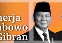 FAKTA-FAKTA 100 Hari Prabowo-Gibran: dari Konsolidasi Parpol, Kabinet Gemuk hingga Evaluasi Kinerja Kabinet