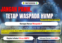 Dinkes Kota Banjarmasin Sampaikan Seruan Kemenkes Agar Masyarakat Tetap Waspada Virus HMPV Namun Tidak Panik