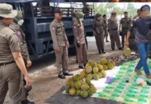 Sisir Sejumlah Lokasi, Satpol PP Kota Banjarbaru Tertibkan PKL Hingga Pedagang Durian