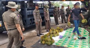 Anggota Satpol PP Kota Banjarbaru menertibkan pedagang durian yang menggelar dagangan di bahu jalan. (wartabanjar.com - Ist)