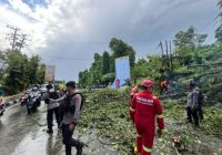 Cuaca Ekstrem, Pohon Tumbang Halangi Lalu Lintas Jalan Bhayangkara Samarinda