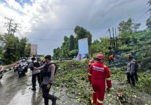 Proses evakuasi pohon tumbang di Jalan Bhayangkara, Samarinda, Kalimantan Timur, Selasa. (wartabanjar.com - Ist. Humas)