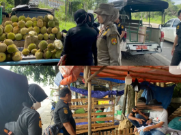Sejumlah Pedagang Durian Ditertibkan Satpol PP Kota Banjarbaru