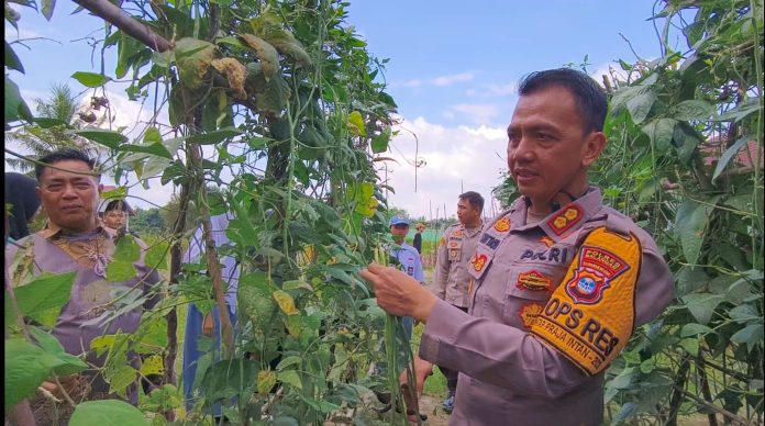 https://wartabanjar.com/2025/01/19/kurir-narkoba-ditangkap-polres-balangan-di-depan-puskesmas-lampihong/