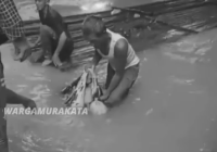 Warga Pajukungan Barabai Geger, Mayat Perempuan Hanyut Mengambang di Sungai