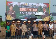 Kapolres Ifan Hariyat Apresiasi Pemkab Banjar Sediakan Lahan Tanam Jagung Serentak untuk Swasembada Pangan 2025