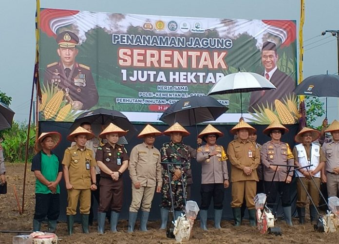 Penanaman jagung serentak dimotori Polres Banjar bekerja sama dengan pemerintah daerah dan instansi terkait lainnya. (wartabanjar.com - Ikhsan)