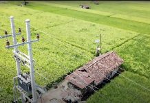 Dukung Tranformasi Pertanian Modern, Electrifying Agriculture PLN Berhasil Tambah 53.539 Pelanggan Baru di 2024