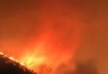 97 WNI Terdampak Kebakaran Hutan Los Angeles, KJRI Sediakan Layanan Ini
