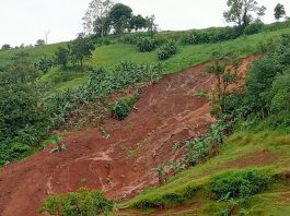 Diguyur Hujan, Tanah 2 Desa di Kecamatan Sambung Makmur Kabupaten Banjar Longsor