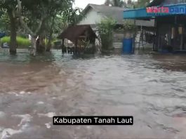 VIDEO- Banjir Tak Kunjung Surut, Aktivitas dan Pertanian Warga Kurau Terganggu