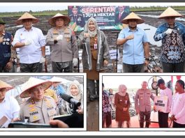 Dipimpin Kapolri, Polda Kalsel Sukseskan Penanaman Jagung 1 Juta Ha, di Kalsel Dipusatkan di Sini
