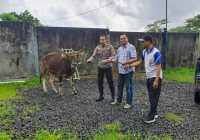 Dinas Pertanian Banjar Akan Potong dan Distribusikan Hewan Bantuan Kapolda Kalsel dan Kapolres Banjar untuk Sukseskan Momen 5 Rajab