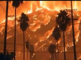 Kebakaran Hutan di Los Angeles Berpotensi Mematikan dan Makin Parah, Warga LA Diminta Bersiap Evakuasi