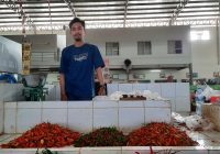 Harga Cabai di Pasar Bauntung Tembus Rp 120 Ribu per Kilogram
