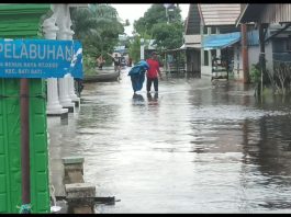 Sejumlah Desa di Kecamatan Kurau dan Bumi Makmur Tanah Laut Terendam Banjir 10-30 Sentimeter